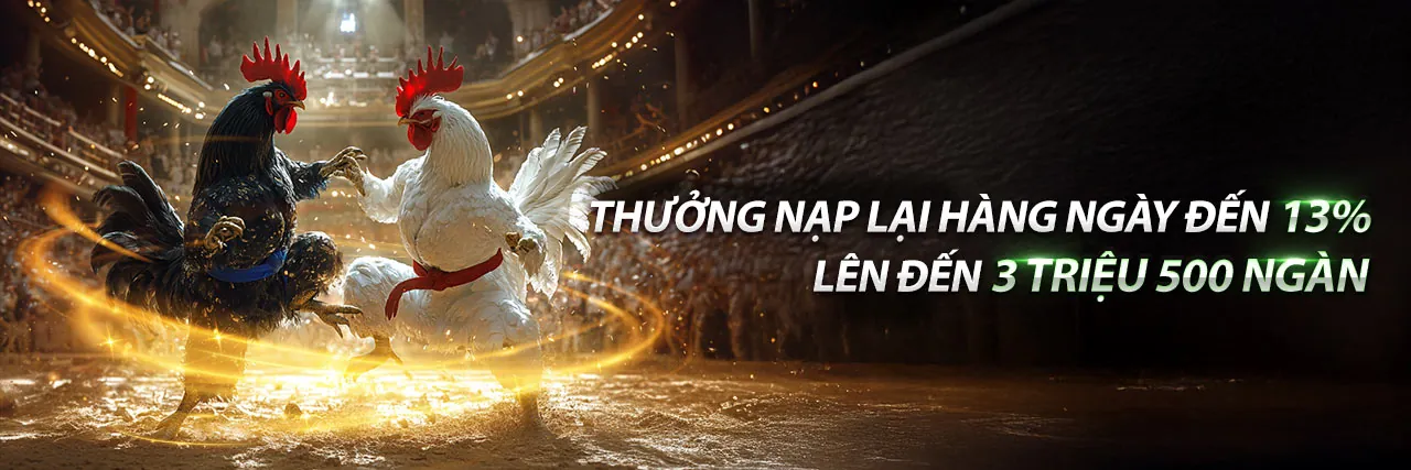 Khuyến Mãi Hấp Dẫn z58win nhà cái